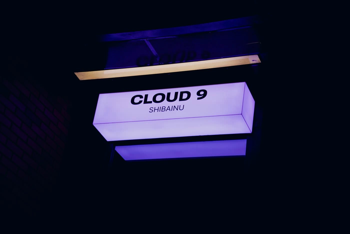 Компания в VIP-комнате Cloud 9